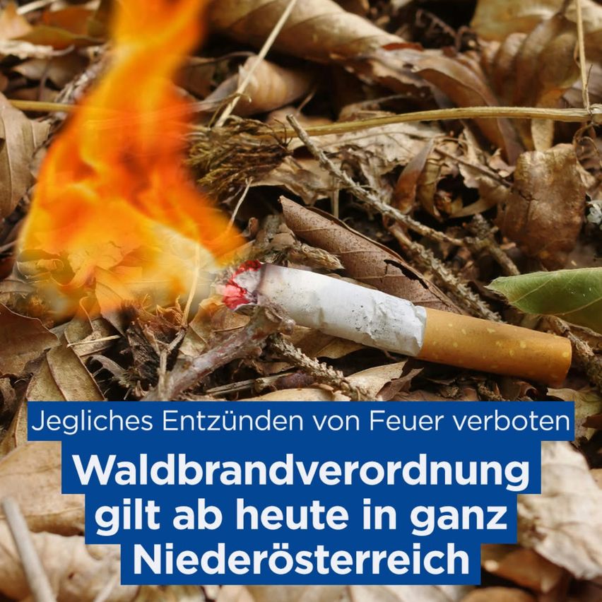 Eine brennende Zigarette auf dem Boden mit Blättern und einem blauen Schild, das 'Jegliches Entzünden von Feuer verboten' besagt. Der Text 'Waldbrandverordnung gilt ab heute in ganz Niederösterreich' ist ebenfalls sichtbar.
