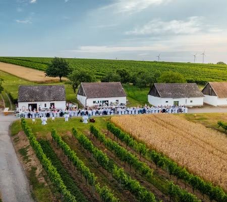 Eine Luftaufnahme eines Weinbergs mit mehreren Menschen, die sich vor einem Gebäude versammelt haben. Das Feld wird durch eine Straße geteilt.