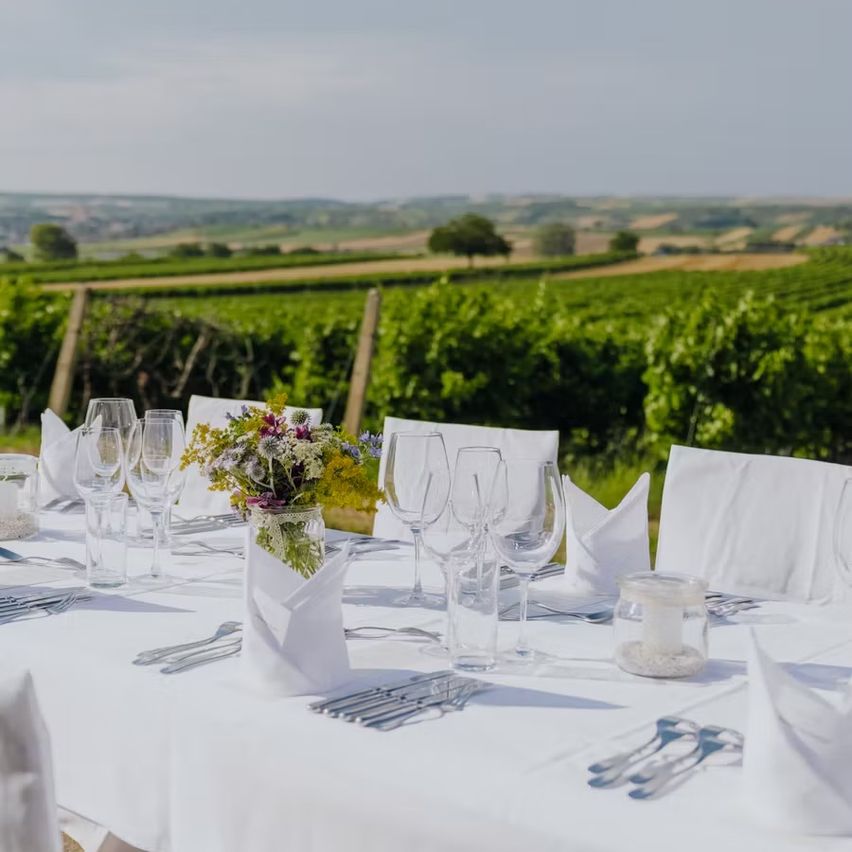 Ein Tisch für eine Mahlzeit in einem Weinberg gedeckt. Der Tisch ist mit einer weißen Tischdecke bedeckt und hat Weingläser, eine Blumenvase und Besteck. Hinter dem Tisch ist eine Aussicht auf den Weinberg.