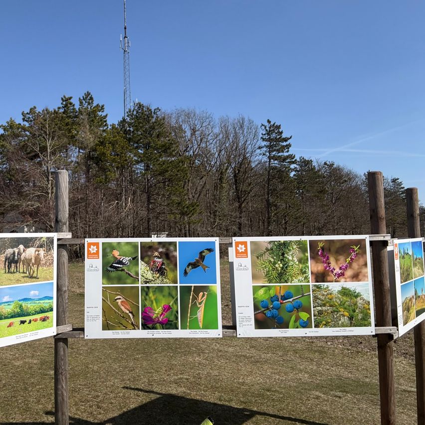 Eine Reihe von Lehrtafeln mit Bildern von Wildtieren, Pflanzen und Landschaften ist im Freien ausgestellt, mit einem klaren blauen Himmel und Bäumen im Hintergrund.