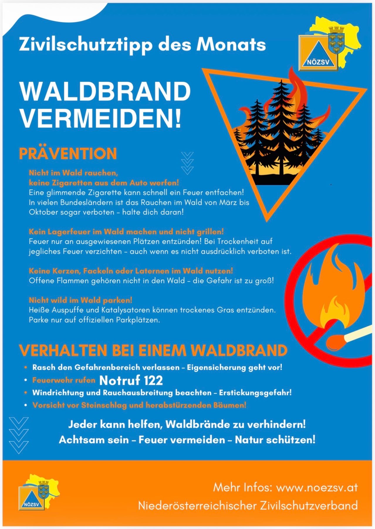 A poster with a blue background and white text provides safety tips for preventing forest fires. It includes instructions such as not smoking in the forest, avoiding campfires, and not using open flames. The poster also features a fire symbol and a no-smoking sign.