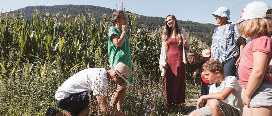 Eine Gruppe von Menschen steht in einem Maisfeld, ein Mann kniet und pflückt etwas. Eine Frau in einem roten Kleid hält einen Korb. Zwei Kinder stehen hinter ihr. Eine Frau in einem grünen Shirt steht in der Nähe des Mais. Der Hintergrund ist ein Berg.