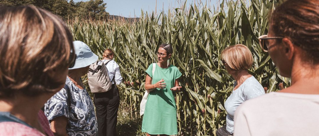 Eine Frau in einem grünen Kleid erklärt etwas einer Gruppe von Menschen in einem Maisfeld. Bäume sind im Hintergrund.