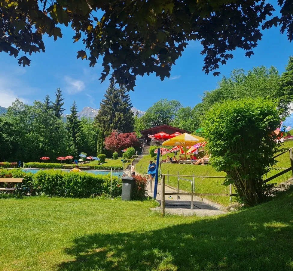 Grass, Park, Grove, Tree, Vegetation, Summer, Scenery, Garden, Lawn, Shelter