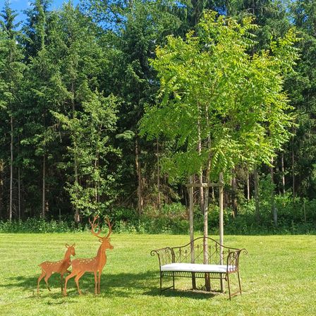Ein Grasfeld mit zwei Hirschstatuen und einer Bank unter einem Baum, umgeben von hohen Bäumen an einem sonnigen Tag.