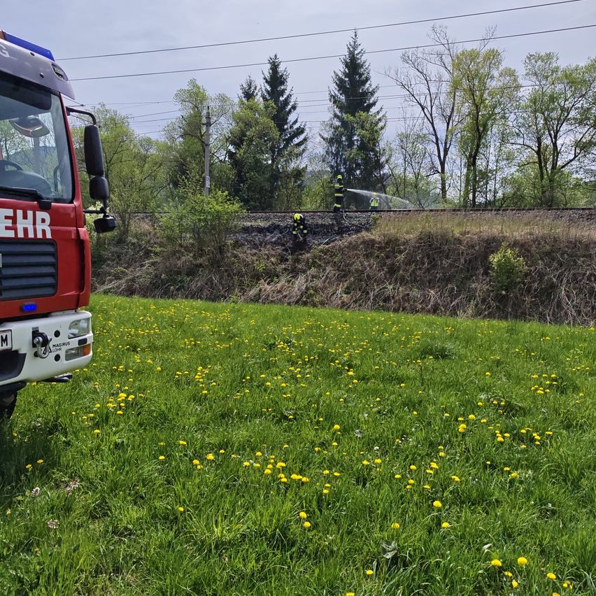 Ein roter Feuerwehrwagen steht auf einem Rasen. Mehrere Feuerwehrleute sind auf den Gleisen, möglicherweise bei einem Brand. Das Gebiet ist von Bäumen umgeben.
