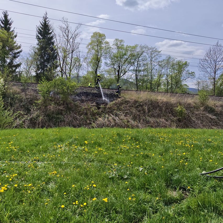 Drei Feuerwehrleute sind auf einem Bahngleis, einer sprüht Wasser. Sie sind umgeben von Bäumen und einem grünen Feld mit gelben Blumen.