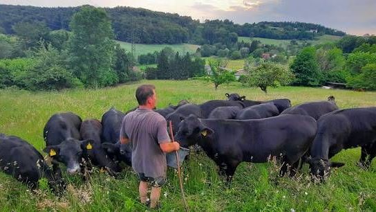 v1_migrated_image_25033024