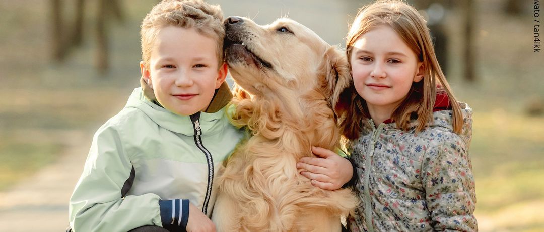 Bild enthält, Person, Dog, Golden Retriever, Photography, Boy, Child, Male, Coat, Poster, Portrait