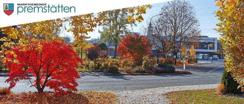 Image contains, Tree, Neighborhood, City, Outdoors, Scenery, Maple, Autumn, Road, Vegetation, Tarmac