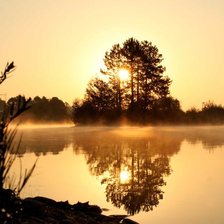 Bild enthält, Nature, Outdoors, Sky, Sunrise, Sunlight, Sunset, Scenery, Landscape, Sun, Tree