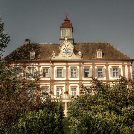 Bild enthält, Clock Tower, Tower, Tree, Spire, Housing, Fir, House