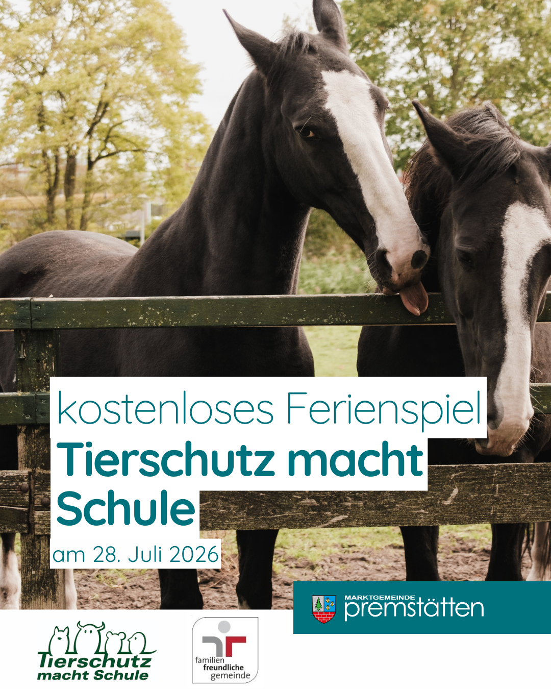 Ein Plakat für kostenlose Ferienspielaktivitäten bei Tierschutz Schule am 28. Juli 2026. Es zeigt zwei schwarze Pferde mit weißen Markierungen vor einem Holzzaun.