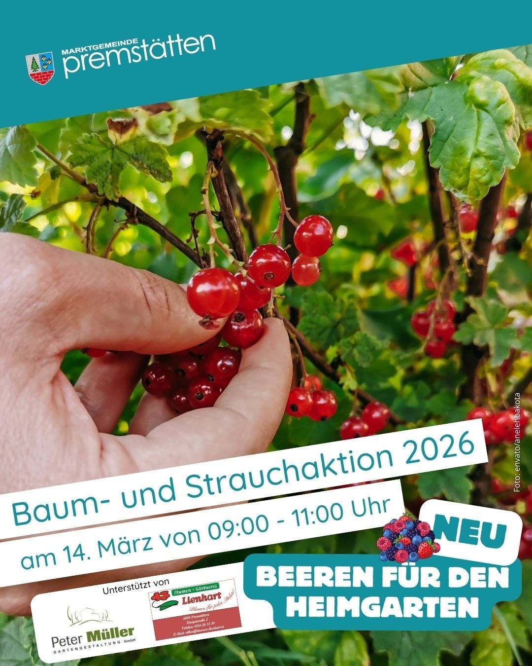 Ein Poster bewirbt eine Baum- und Strauchauktion am 14. März 2026 von 09:00 bis 11:00 Uhr, mit einer Hand, die rote Beeren hält.