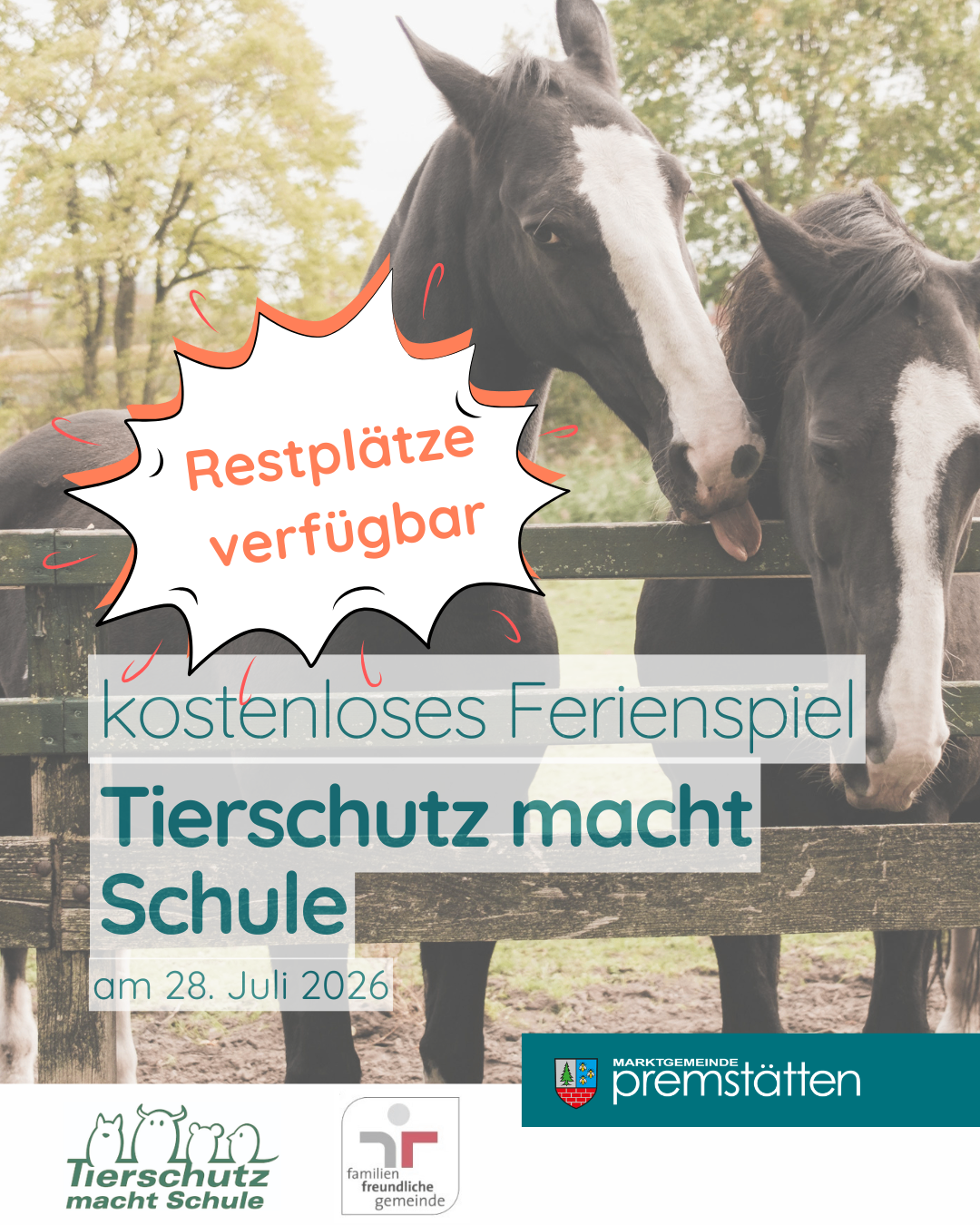 Zwei Pferde stehen hinter einem Zaun mit einem Textüberlagerung, der 'Restplatze verfugbar kostenloses Ferienspiel Tierschutz macht Schule am 28. Juli 2026' lautet. Die Pferde sind schwarz und weiß mit einem weißen Streifen auf ihren Gesichtern. Der Hintergrund ist unscharf mit Bäumen und Gras.