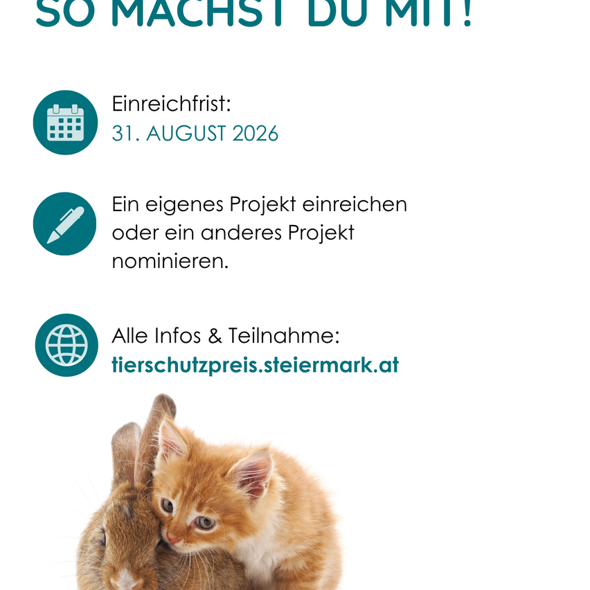 Plakat mit einer Katze und einem Kaninchen, Text auf Deutsch, Fristdatum 31. August 2026 und Website für weitere Informationen.