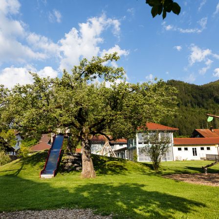 Ein Spielplatz mit einer Rutsche unter einem großen Baum vor einem Haus mit rotem Dach an einem sonnigen Tag.