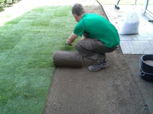 Bild enthält, Grass, Lawn, Person, Garden, Nature, Outdoors, Backyard, Pants, Gardening, Shoe