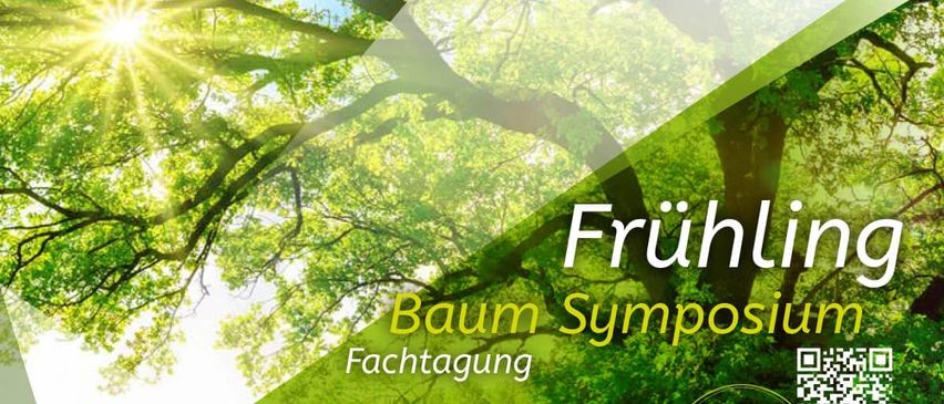 Bild enthält, Advertisement, Poster, Green, Vegetation, Sunlight, Nature, Outdoors, Tree, Rainforest, QR Code