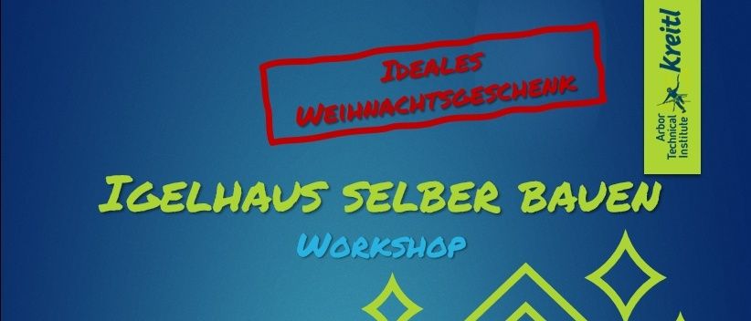 Plakat für einen Workshop zum Bau eines Iglus. Datum: 17. Januar 2026. Zeit: 8:30 Uhr bis 12 Uhr. Ort: Arbor Technical Institute Kreitl. Kosten: 95 Euro. Anmeldung per E-Mail.
