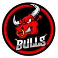 EC Bulls Weiz-Logo