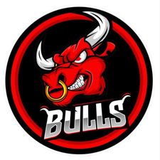 EC Bulls Weiz-Logo