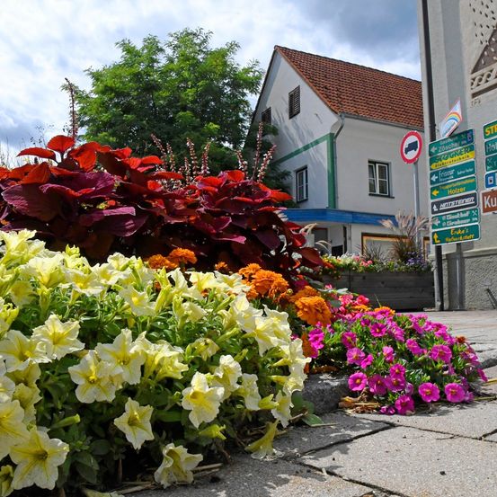 Ein bunter Garten mit gelben, roten und pinken Blumen steht vor einem weißen Haus mit braunem Dach und einem Schild mit Straßennamen.