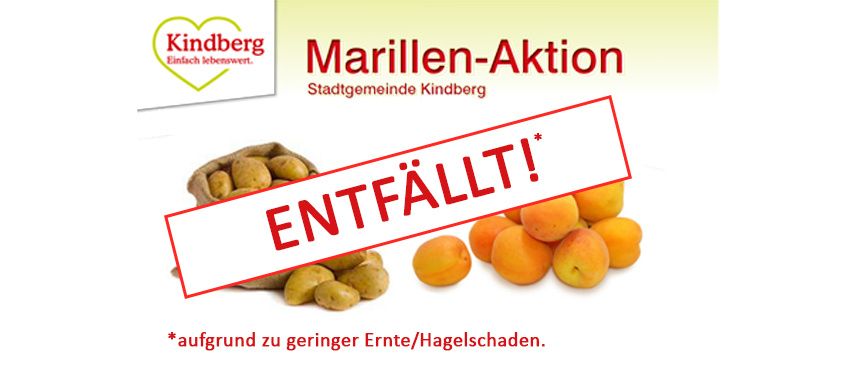 Ein Plakat mit dem Text 'Marillen-Aktion' und einem Bild von Kartoffeln und Aprikosen. Es enthält einen Hinweis auf verringerte Ernte aufgrund von Ernte-/Hagelschäden.