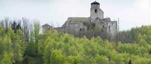 Eine alte Burg mit einem hohen Turm steht auf einem Hügel, umgeben von üppiger Grünfläche unter einem grauen Himmel.