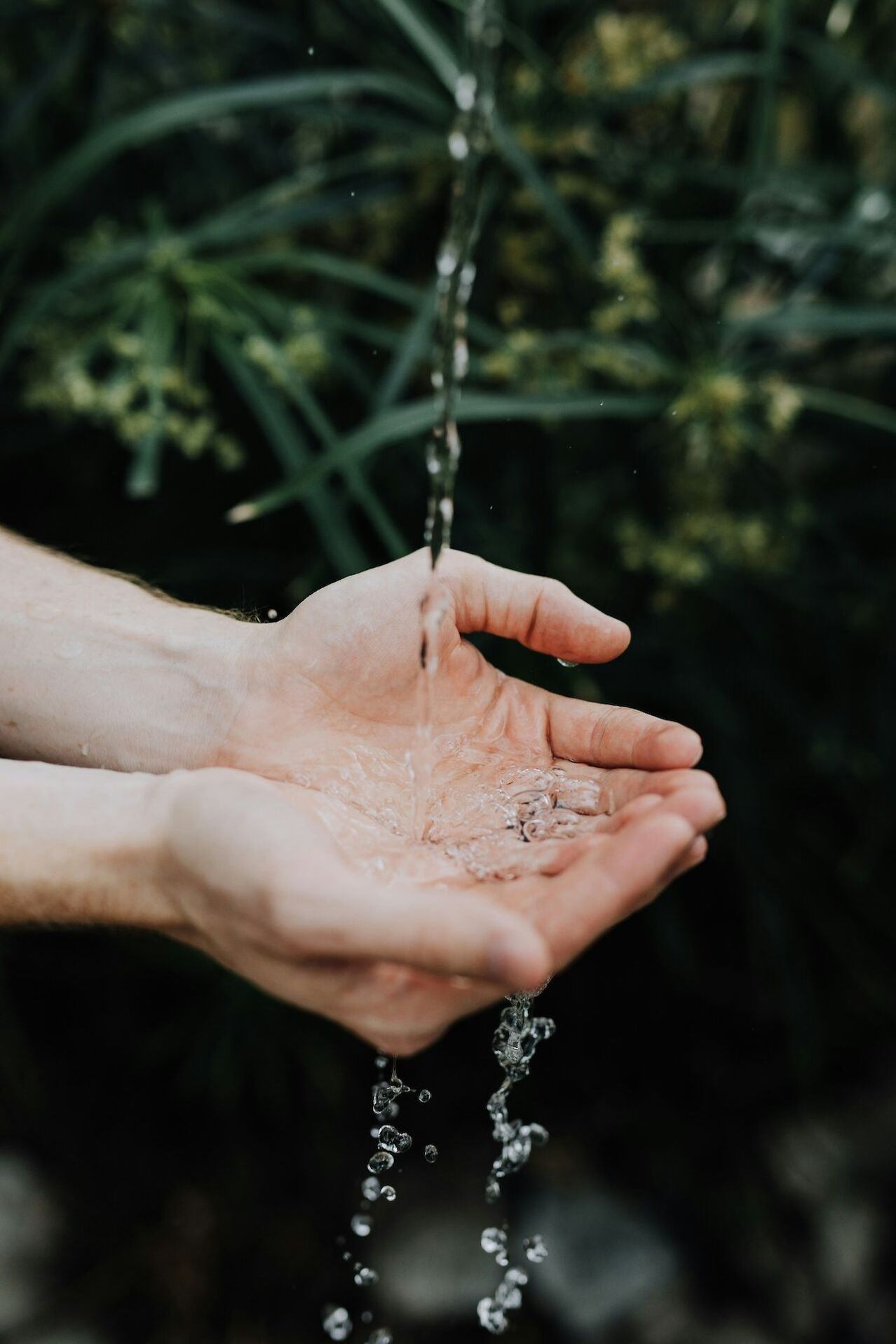 Die Hände einer Person sind zum Auffangen von Wassertropfen angewinkelt, mit einem unscharfen grünen Hintergrund.