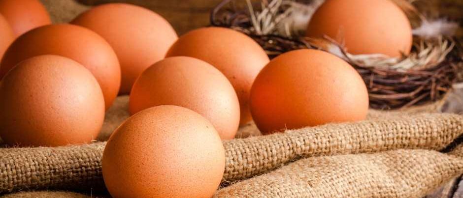 Bild enthält, Egg, Food, Bag