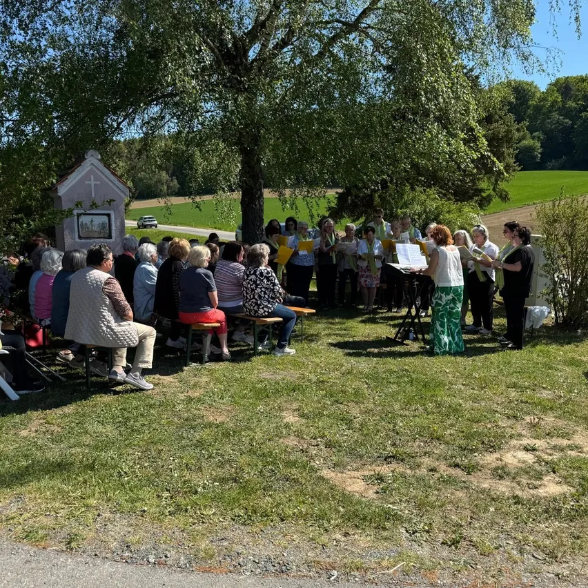 Eine Gruppe von Menschen ist unter einem Baum für eine Choraufführung versammelt. Sie sitzen auf Bänken, einige stehen. Eine Person vorne hält Notenblätter. Das Gebiet ist von einem grünen Feld umgeben.