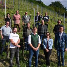 Weinbauverein Bad Waltersdorf-Logo