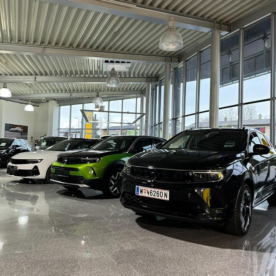 Bild enthält, Car, Car Dealership, Transportation, Vehicle, Person, Machine, Wheel