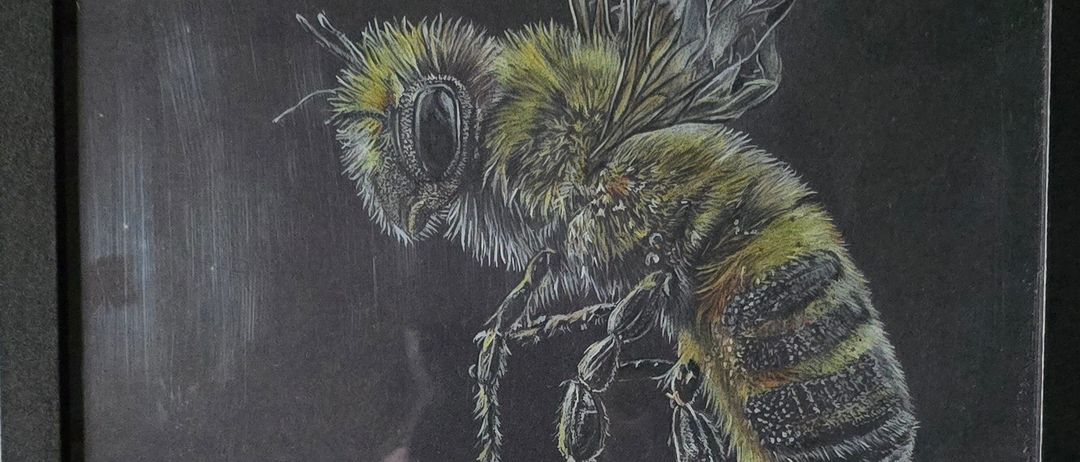 Eine detaillierte Zeichnung einer Biene mit ausgebreiteten Flügeln, die auf einer dunklen Oberfläche sitzt. Die Biene ist in Gelb- und Schwarztönen gehalten und zeigt ihre komplexe Körperstruktur.