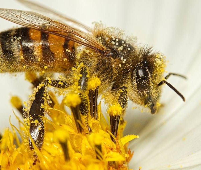 v1_migrated_image_77399860