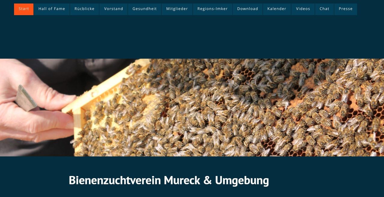 Das Bild zeigt eine Nahaufnahme eines Bienenstocks voller Bienen. Unter dem Bild steht der Text 'Zenzuchtverein Mureck & Umgebung'.