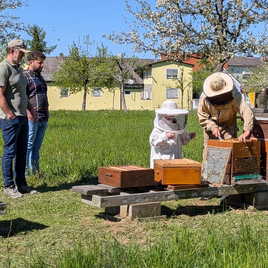 Drei Männer und ein Kind in Imkerausrüstung arbeiten an einer Bank in einem Feld. Holzkisten und Bienenstöcke umgeben sie. Ein gelbes Haus mit mehreren Fenstern im Hintergrund.