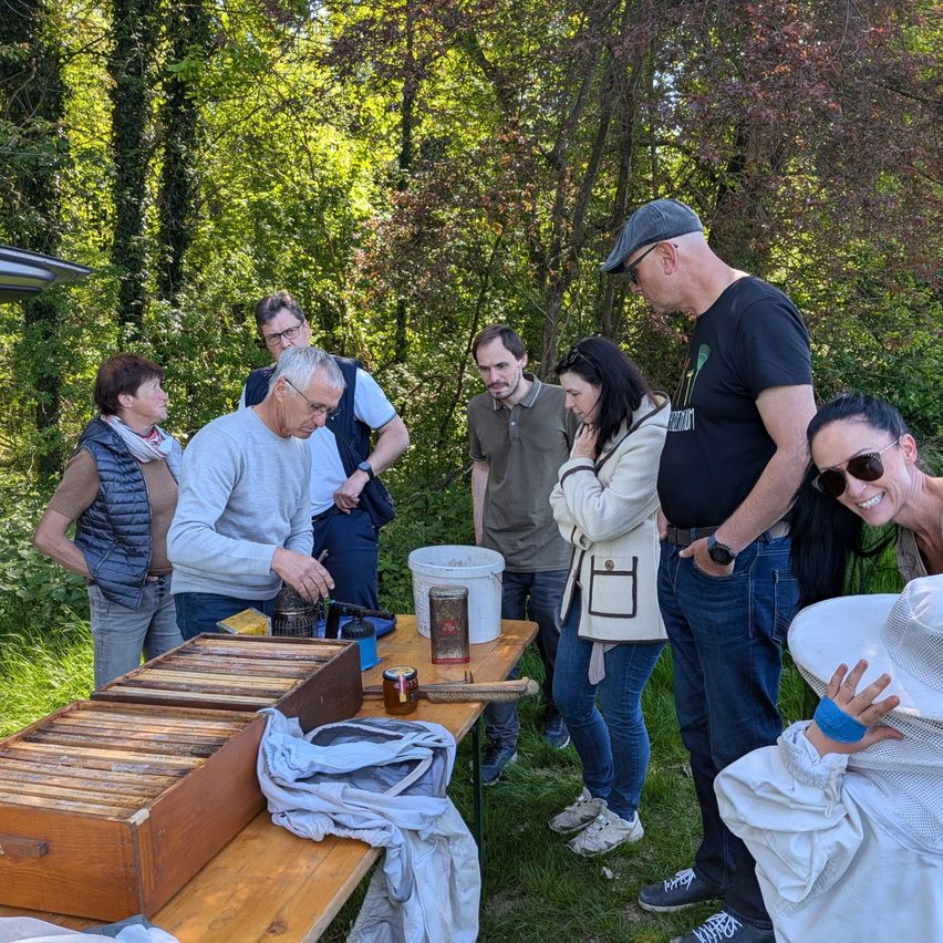 Eine Gruppe von Menschen untersucht im Freien eine Holzkiste mit Bienenrahmen, umgeben von einem bewaldeten Gebiet. Ein Mann beugt sich über die Kiste, während ein anderer zusieht.