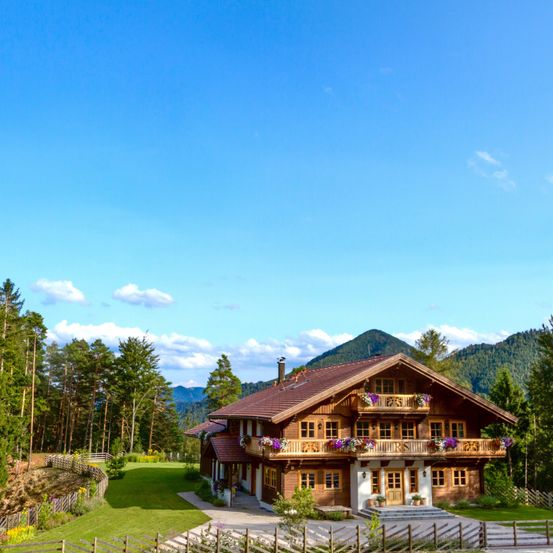 Nature, Outdoors, Scenery, Building, Cottage, House, Housing, Fir, Tree, Shelter