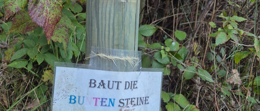 Bild enthält, Plant, Tree, Tree Trunk, Vegetation, Land, Nature, Outdoors, Woodland