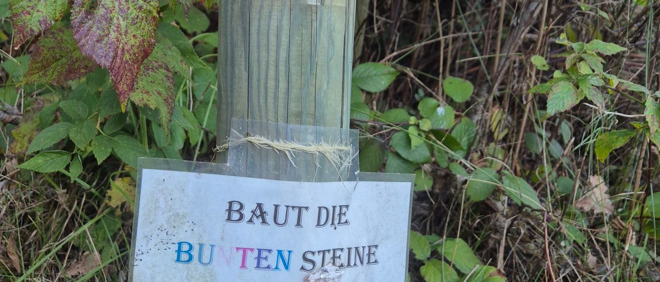 Bild enthält, Plant, Tree, Tree Trunk, Vegetation, Land, Nature, Outdoors, Woodland