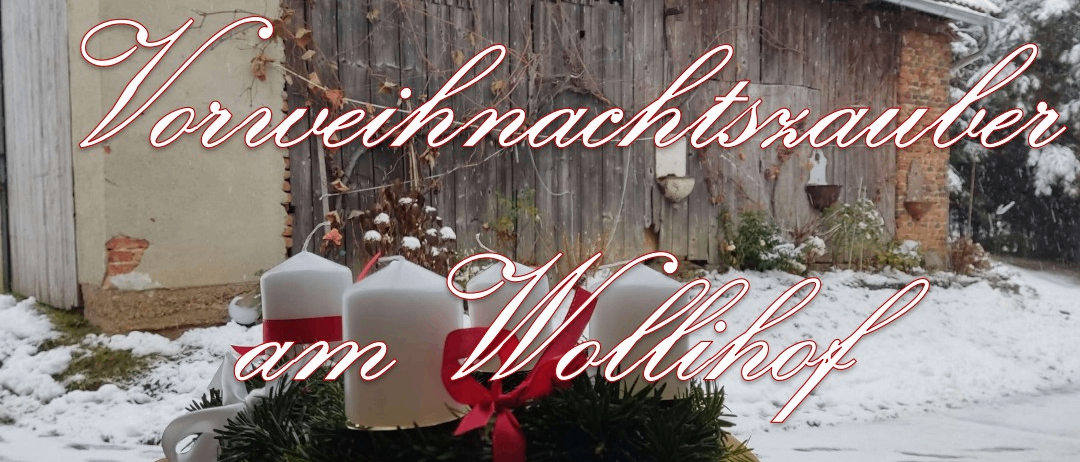 Plakat für die Wollkirchof-Veranstaltung am 15. November 2025. Bietet regionale Aussteller, Kinderprogramm, Musik, Weihnachtsfriedenswanderung, Bastelgeschenke, leckere Gerichte, Verkostungen, Maroni... Kontakt: 031418/2521 oder 0664/963116.
