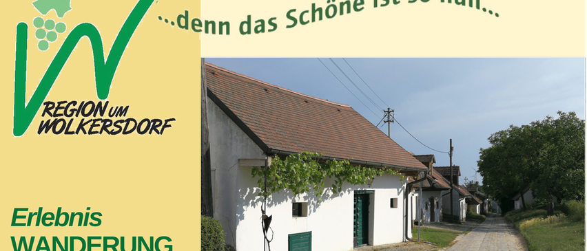 Ein weißes Haus mit einem braunen Dach und einer grünen Tür, bedeckt mit Weinranken. Das Haus befindet sich auf einer Kopfsteinpflasterstraße.
