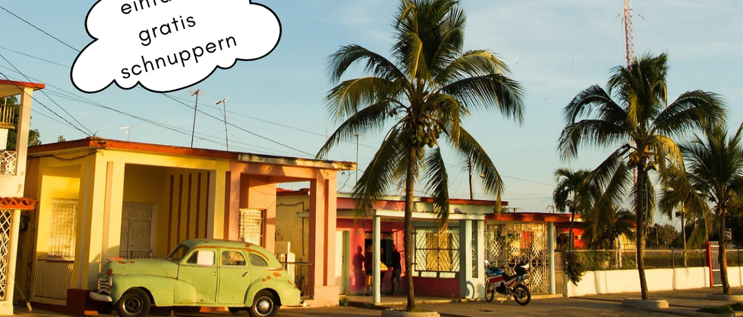 Ein Foto eines alten Autos und Palmen, mit einer Wolke darüber, die 'einfach gratis schnupfen' sagt. Darunter eine Reihe von Tänzern in verschiedenen Kostümen.