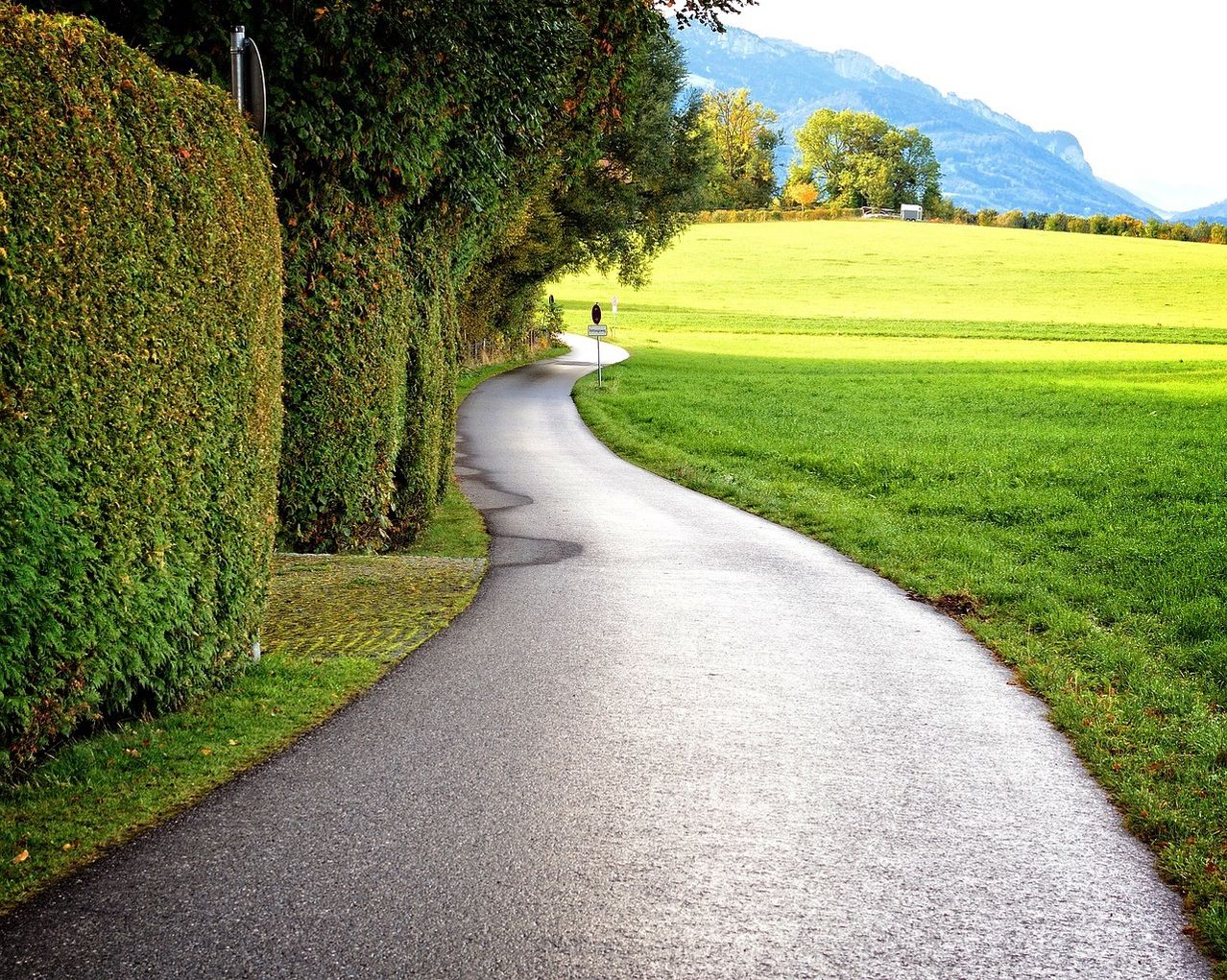 Ein gewundener Weg, gesäumt von Hecken, führt zu einem grünen Feld. In der Ferne sind Berge sichtbar.