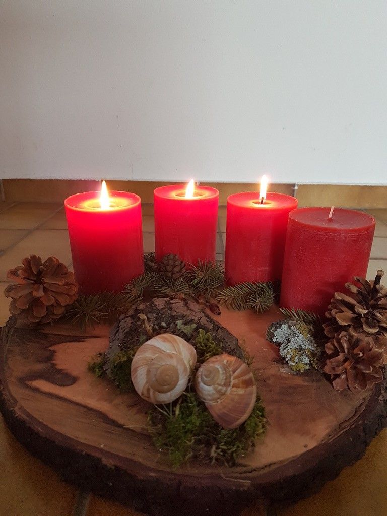 Vier rote Kerzen sind auf einem Holzbrett angezündet. Sie sind von Tannenzapfen, Moos und Schnecken umgeben. Die Kerzen stehen auf einem gefliesten Boden.