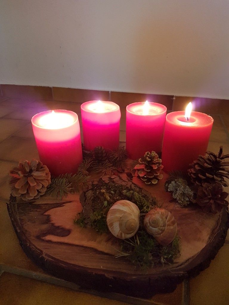 Vier rote Kerzen brennen auf einem Holzsockel mit Tannenzapfen und Moos. Die Szene ist warm beleuchtet und wirft sanfte Schatten.