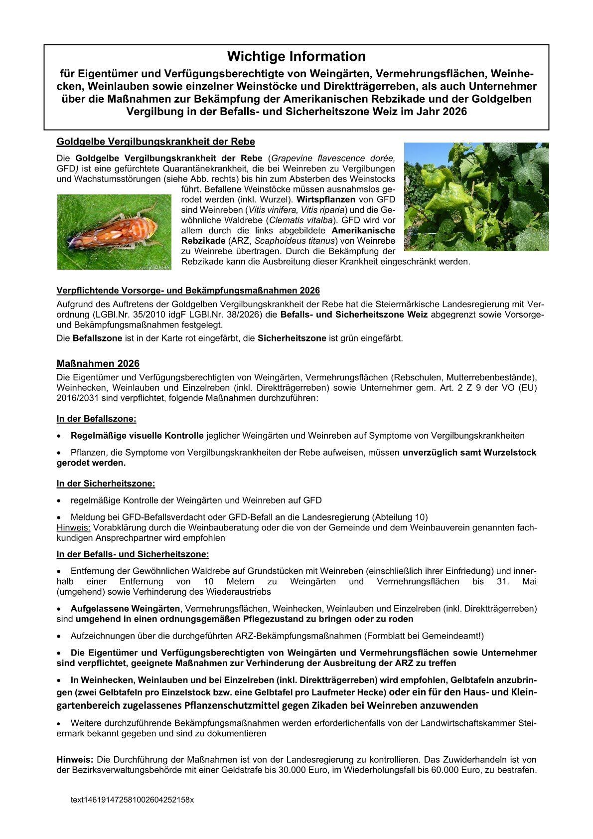 Die Goldgelbe Vergilbungskrankheit der Rebe (Grapevine flavescence dorée, GFD) ist eine gefährliche Quarantänekrankheit, die bei Weinreben zu Vergilbungen und Wachstumsstörungen (siehe Abb. rechts) bis hin zum Absterben des Weinstocks führt. Betroffene Weinstöcke müssen ausnahmslos ge- rodet werden (inkl. Wurzel). Wirtspflanzen von GFD sind Weinreben (Vitis vinifera) und die Ge- wöhnliche Waldrebe (Clematis vitalba). GFD wird vor allem durch die links abgebildete amerikanische Rebizkade (ARZ, Scaphoideus titanus) von Weinreben zu Weinreben übertragen. Durch die Bekämpfung der Rebizkade kann die Ausbreitung dieser Krankheit eingeschränkt werden.