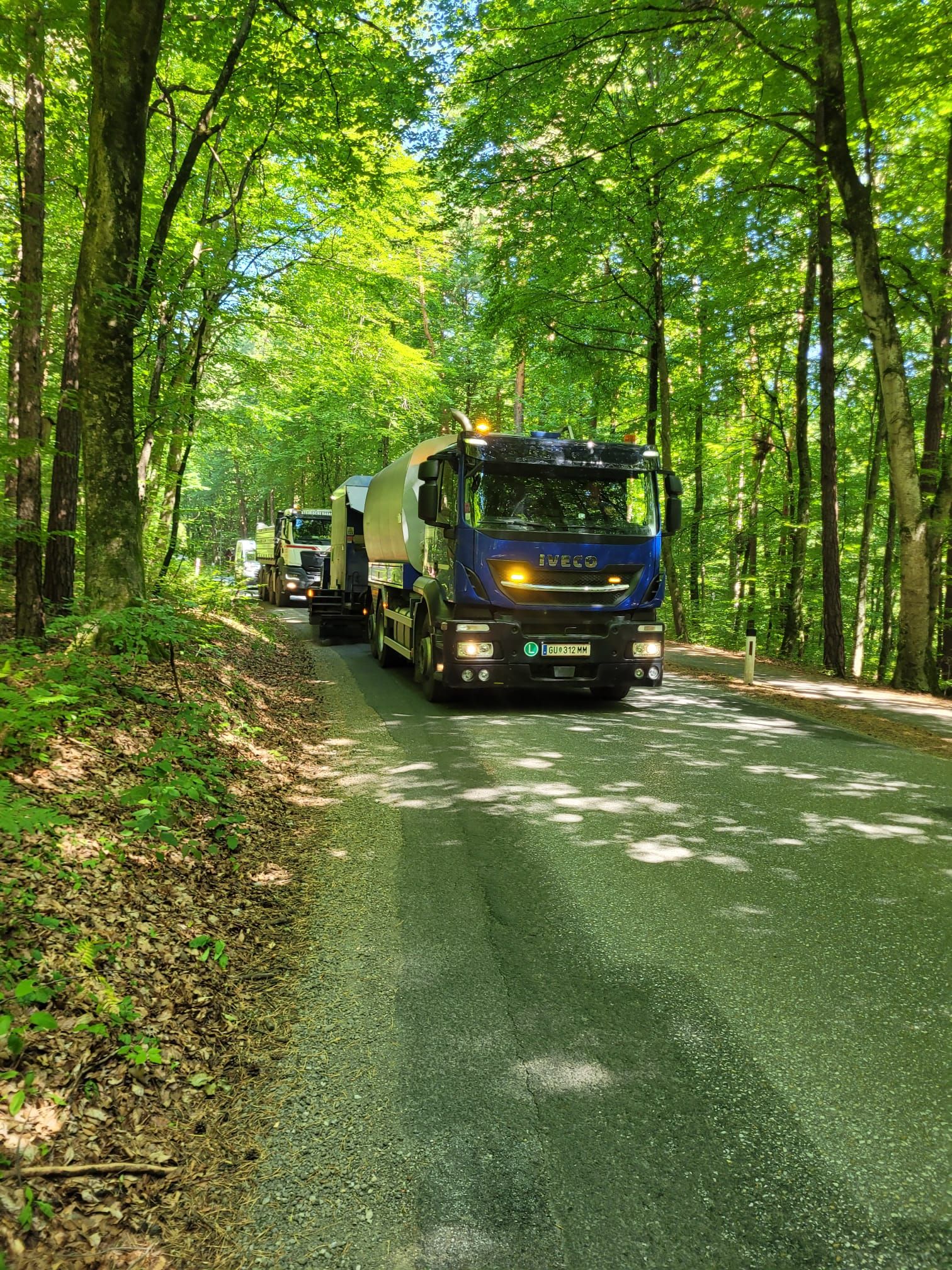 Lkw auf einer Straße in einem grünen Wald